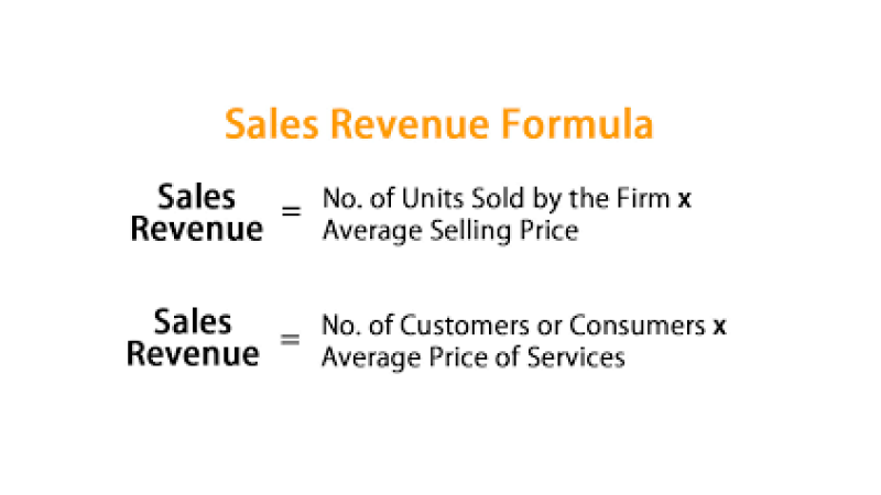 An infographic on Sales Revenue